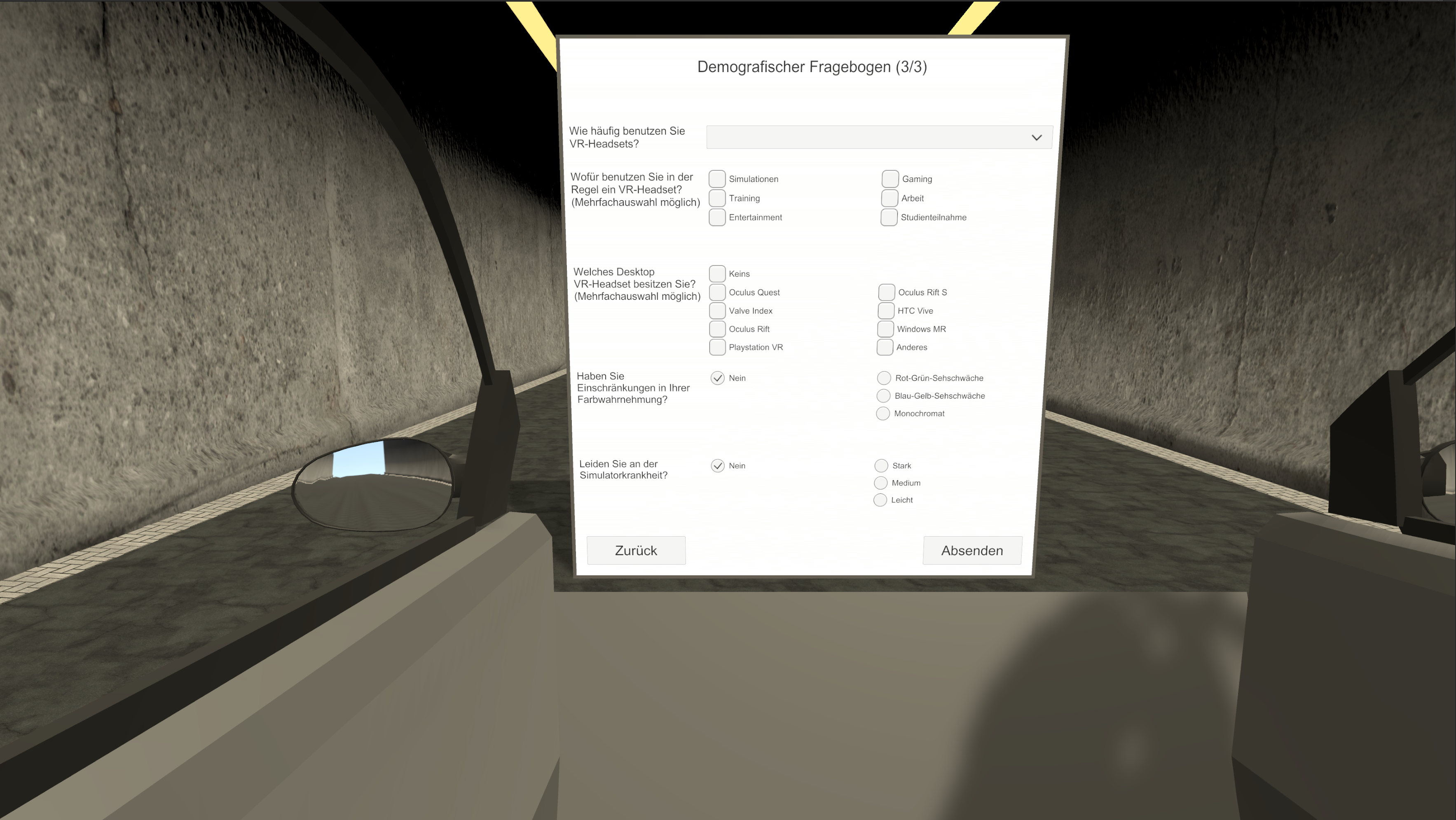 Demografischer Fragebogen 3 / 3